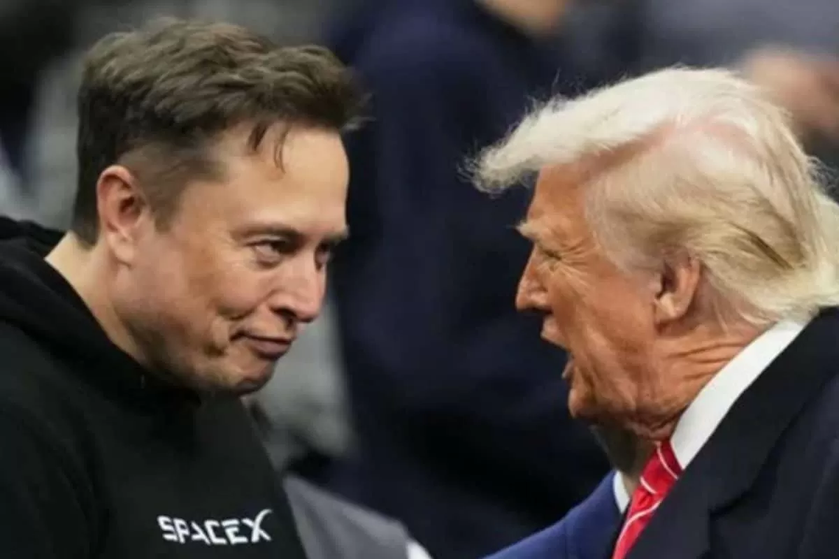 'Peace Or Piece Of Greenland?': Elon Musk's Wordplay Jab At Trump's Gaza Board