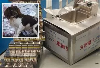 Sniffer dogs foil plot to smuggle 1.5million illegal cigarettes ‘in deep fat fryers’