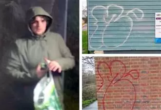 CCTV appeal after repeated graffiti attacks costing taxpayers