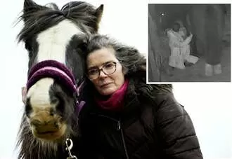 ‘Monster who sexually violated my horse is still on the loose’
